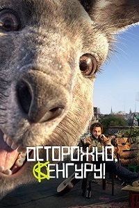 Осторожно, Кенгуру! скачать