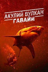 Скачать Акулий вулкан: Гавайи (2023) в хорошем качестве