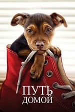 Скачать Путь домой (2019) в хорошем качестве