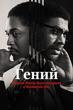 Скачать Гений / Гений: Мартин Лютер Кинг-младший и Малкольм Икс в хорошем качестве