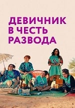 Скачать Девичник в честь развода (2024) в хорошем качестве