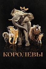 Королевы (2024) скачать