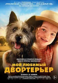 Скачать Мой любимый двортерьер (2024) в хорошем качестве